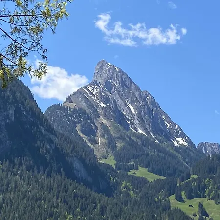 Malgre-tout By Interhome * Saanen